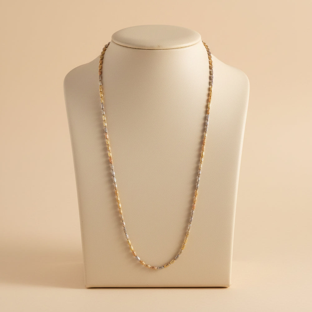 Aarohi Two-Tone Silver 925 Chain