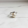 🦋 The Flutter Butterfly Silver Ring with Sparkling Band 💍✨
